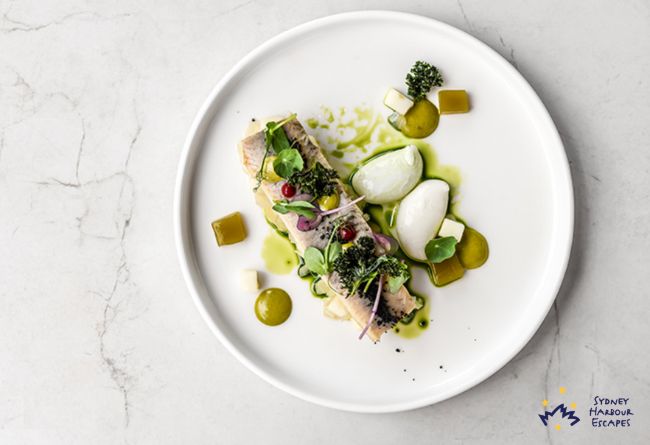 09   EV ARCADIA 2025 